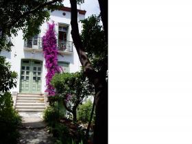 photo coins arrondis